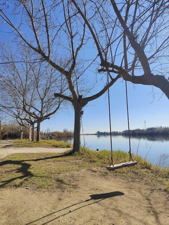 דלטברה Superbe Appartement Terrasse Entierement Renove Au Bord De L'Ebre מראה חיצוני תמונה